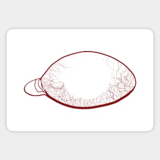 Red Eye Veins Line Art - Eye Veins Red - Red Veins in Eyes Magnet